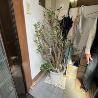 ブログ画像